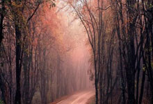 34岁老将徐梦桃:下个目标米兰冬奥会!.