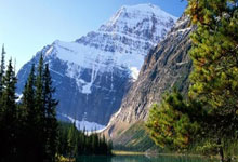 意媒:如果纽卡缺席欧战,托纳利会很乐意重返米兰&后者准备协助.