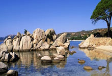 这7人离队!曝曼城决定大清洗.